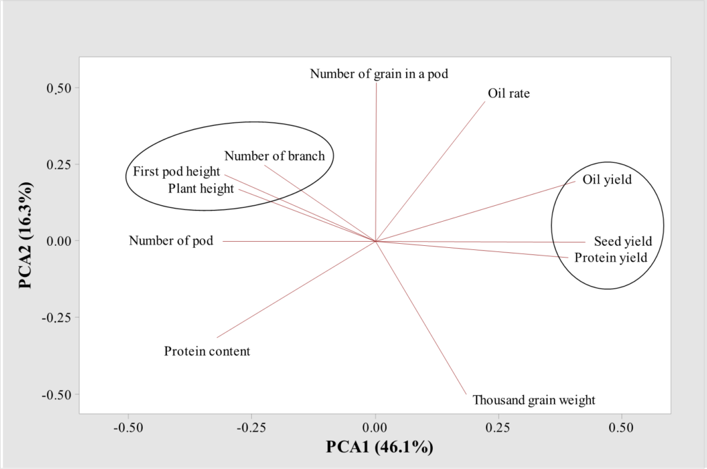 Figure 1. Biplot graph with dispersion of the 18 soybean genotypes for the traits