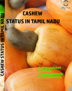 CASHEW STATUS IN TAMIL NADU