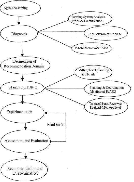 Figure 2: Steps in Farming Systems Research Approach followed in Nepal