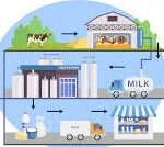 Dairy Marketing